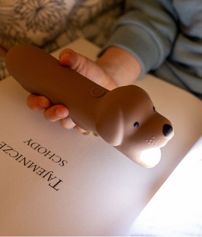 ZAKLAMP | HOND