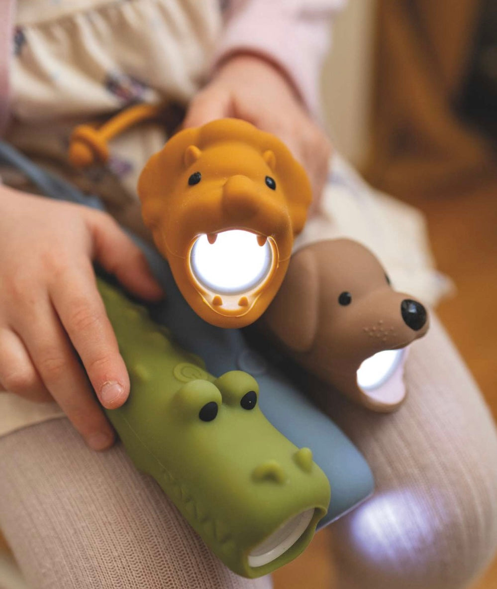 ZAKLAMP | HOND